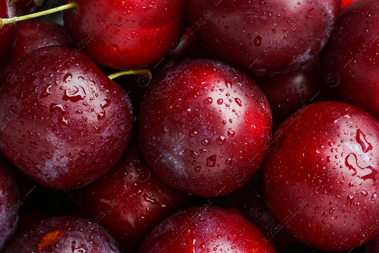 Photo of Many fresh plums with water drops as background, top view