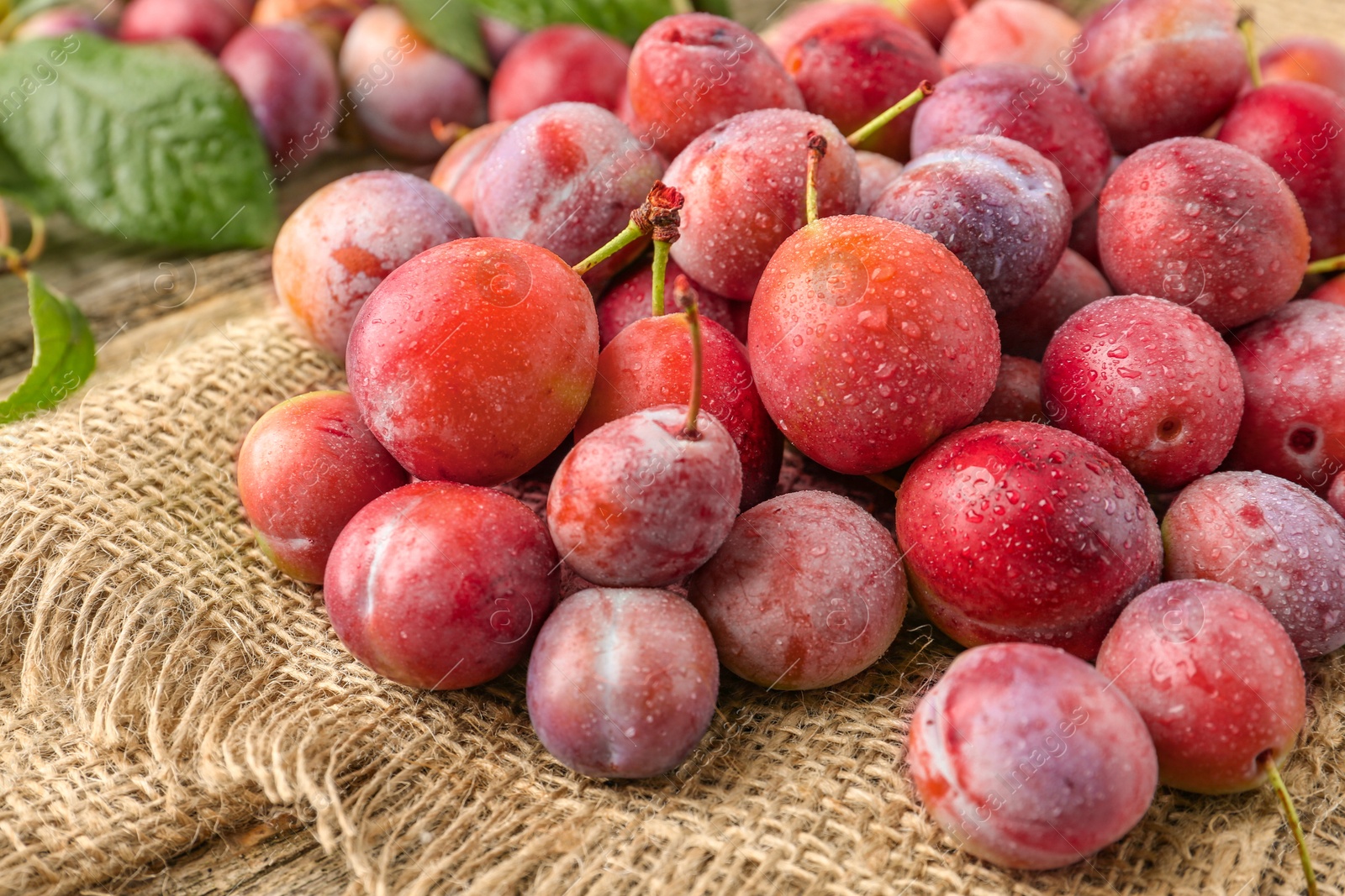 Photo of Pile of tasty ripe plums on table, closeup