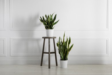 Stool and houseplants near white wall at home