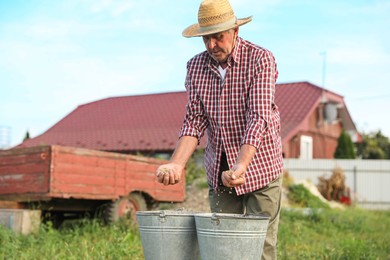 Senior man with buckets of ripe wheat grains outdoors