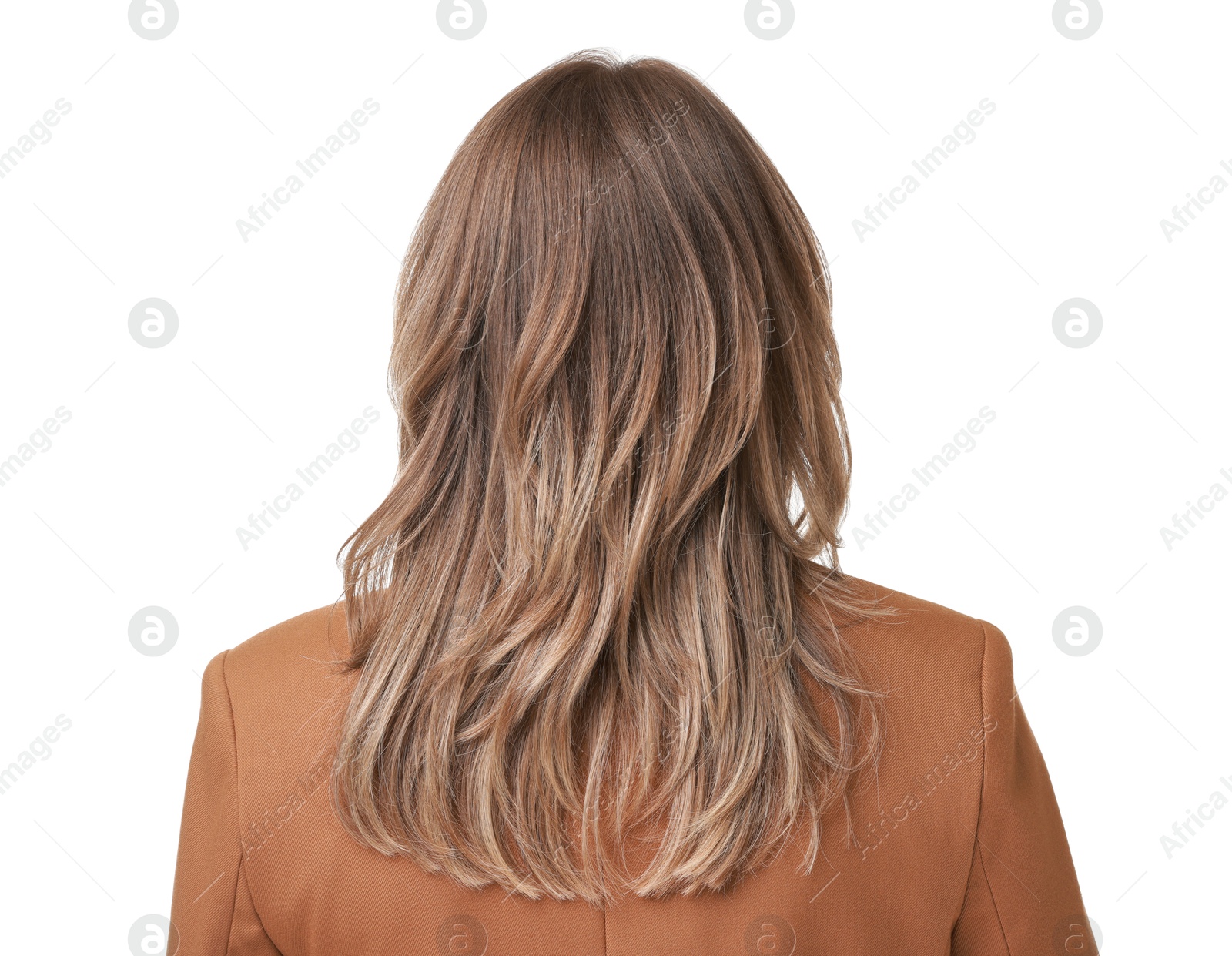 Photo of Woman with stylish haircut on white background, back view