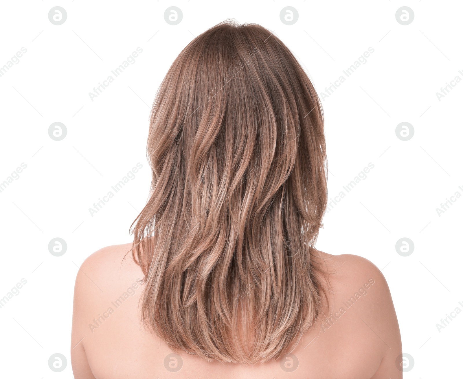 Photo of Woman with stylish haircut on white background, back view