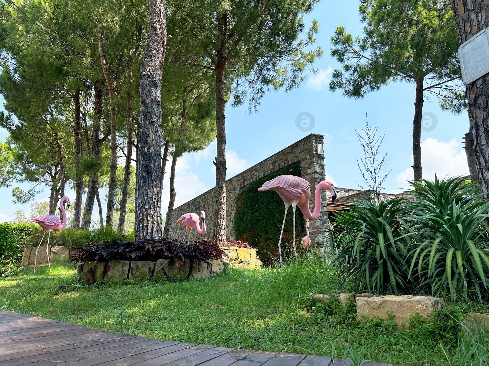 Photo of Green trees and decorative flamingos outdoors, low angle view