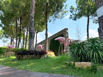 Green trees and decorative flamingos outdoors, low angle view