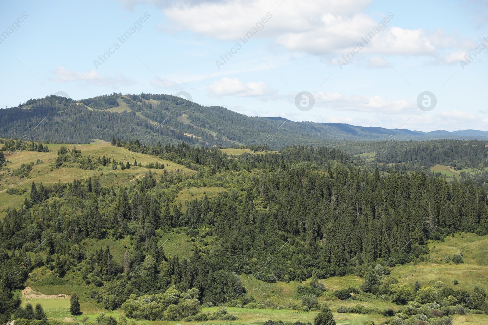 Photo of Trees and houses in mountains under blue sky