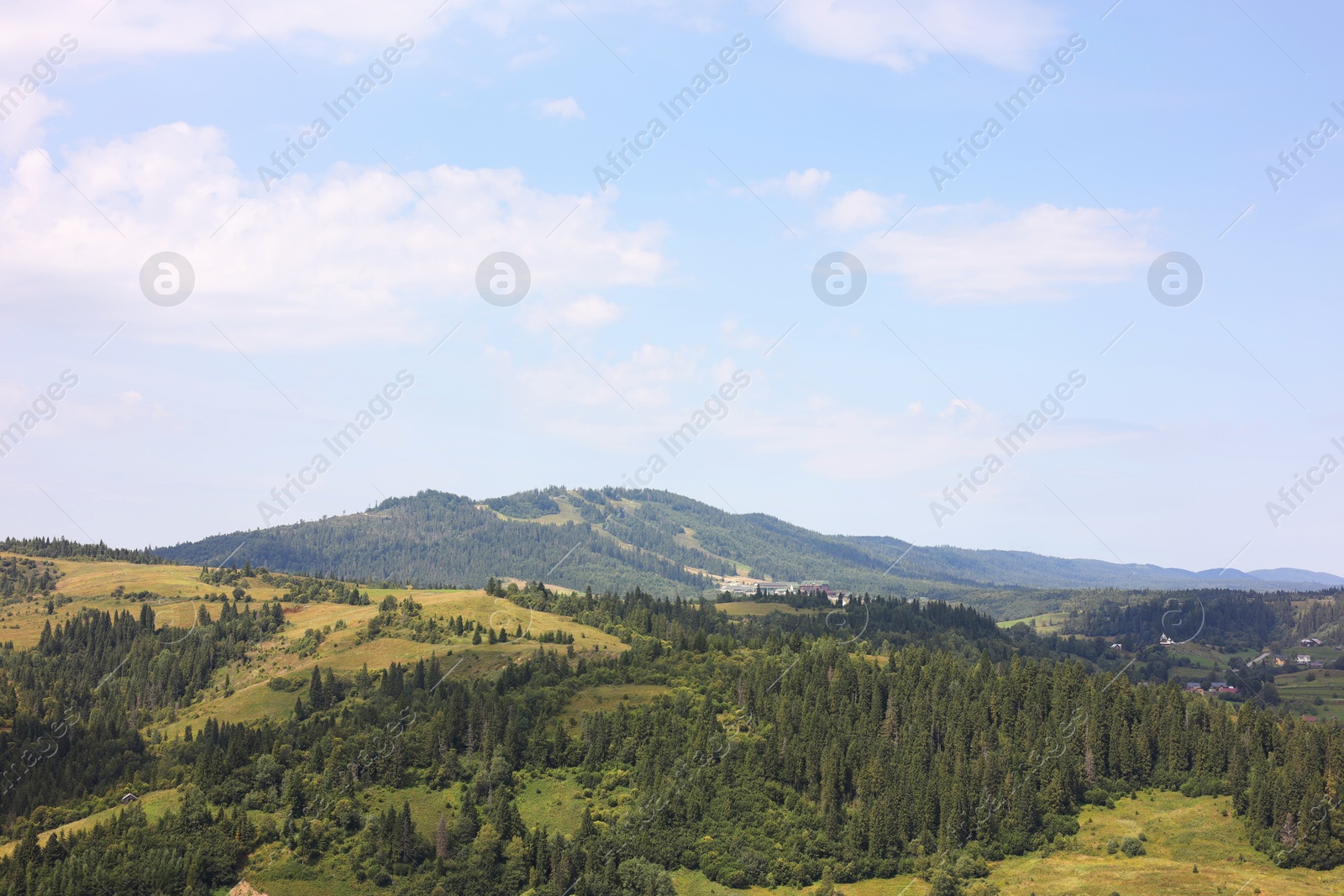 Photo of Picturesque view of forest in mountains under blue sky