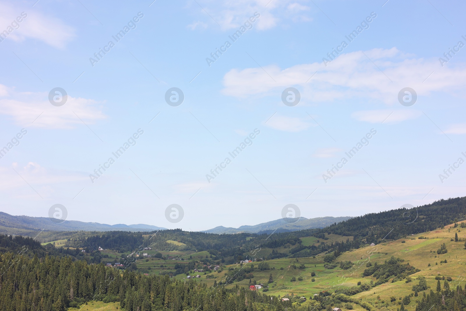 Photo of Picturesque view of forest in mountains under blue sky