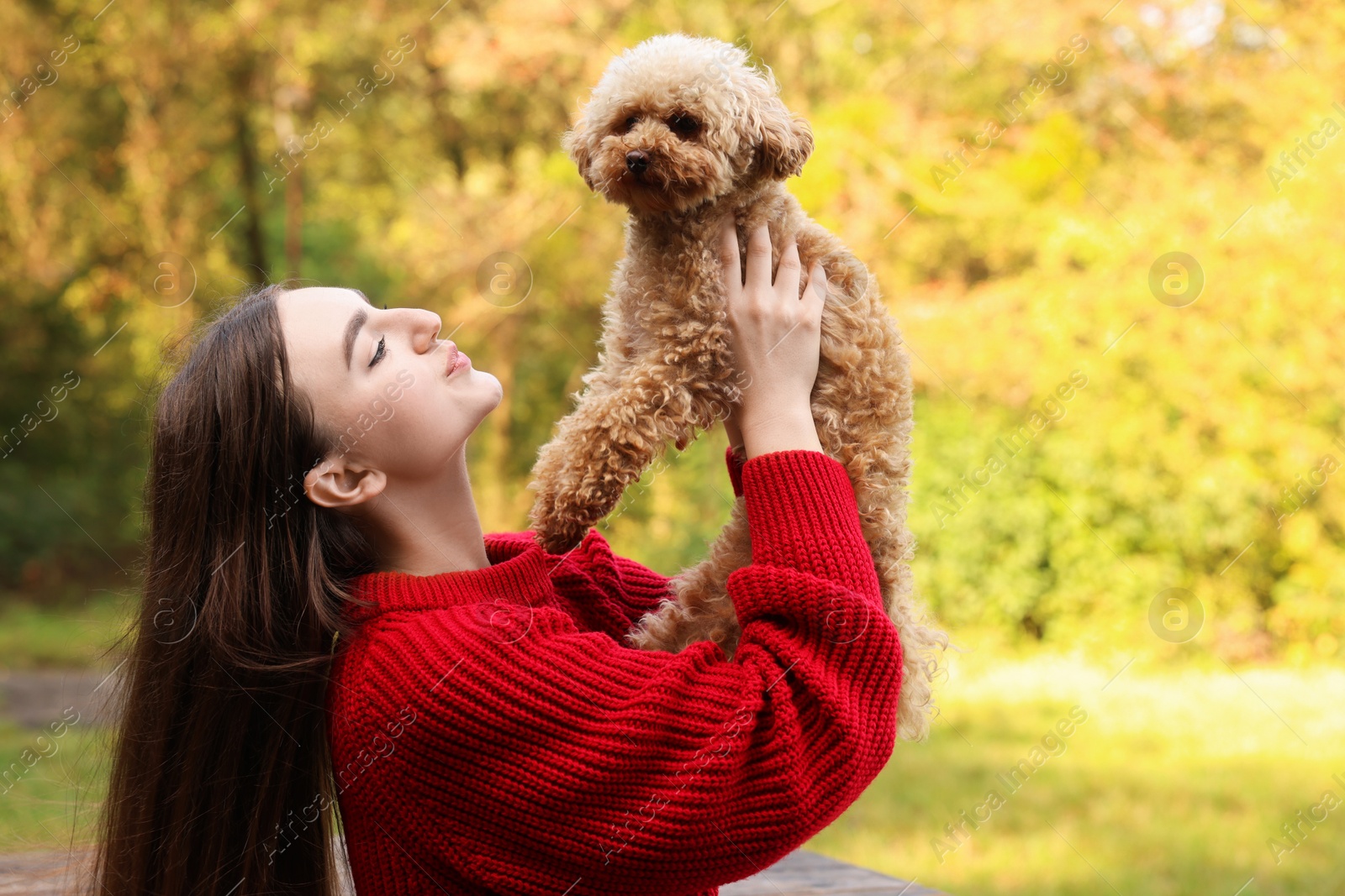 Photo of Woman with cute dog in autumn park. Space for text