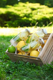 Refreshing lemonade with mint and fresh fruits in wooden crate on green grass outdoors