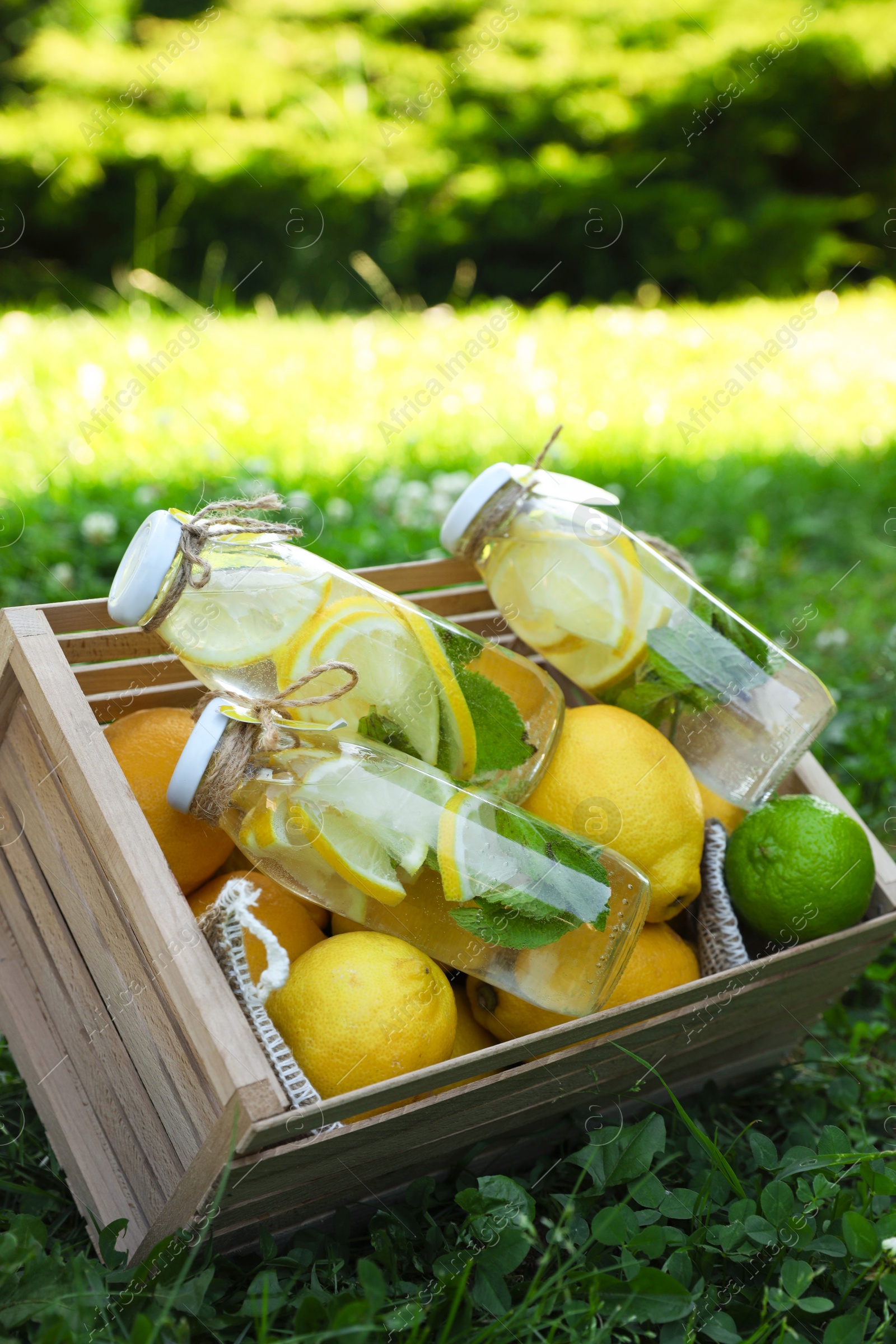 Photo of Refreshing lemonade with mint and fresh fruits in wooden crate on green grass outdoors