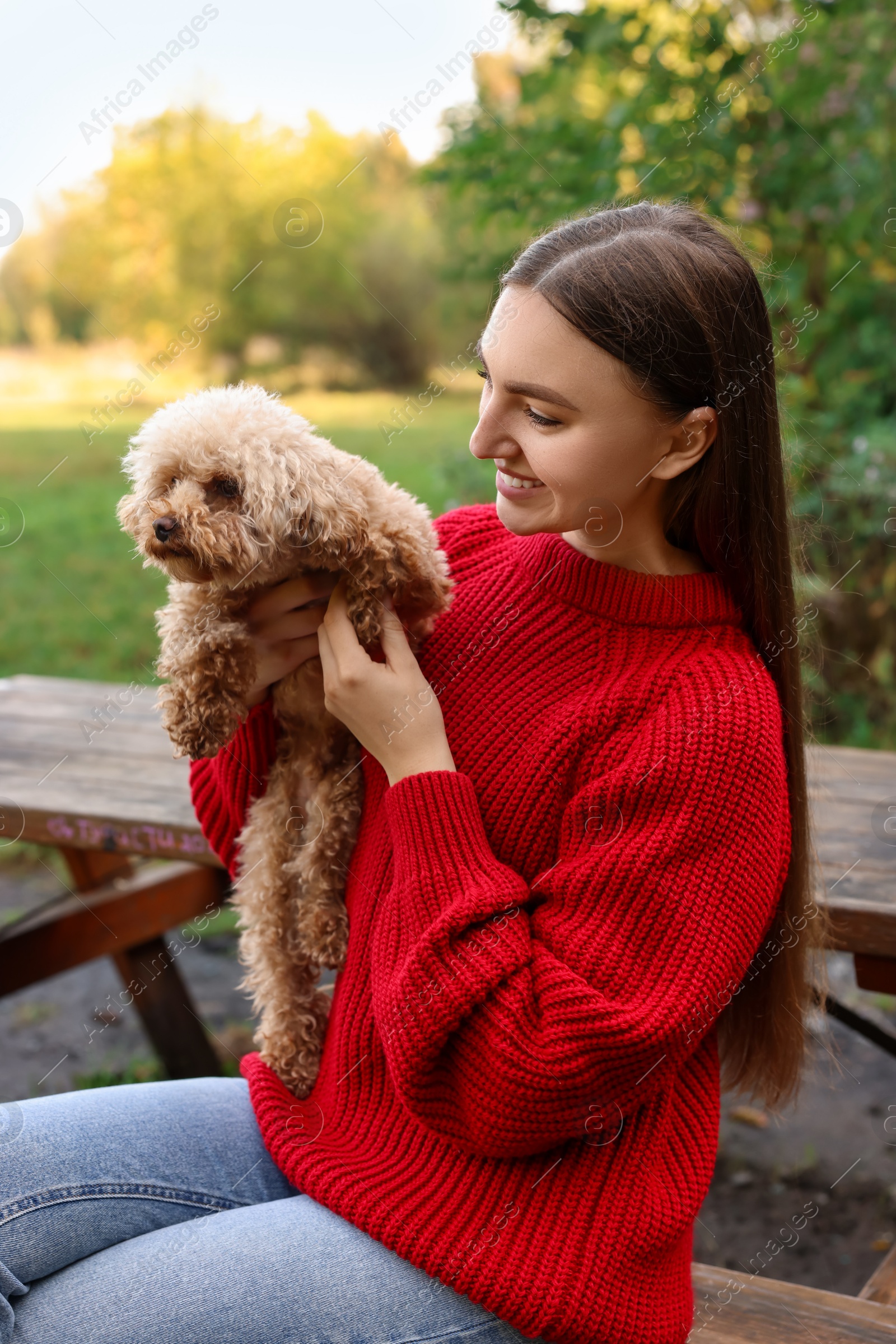 Photo of Smiling woman with cute dog on bench in autumn park