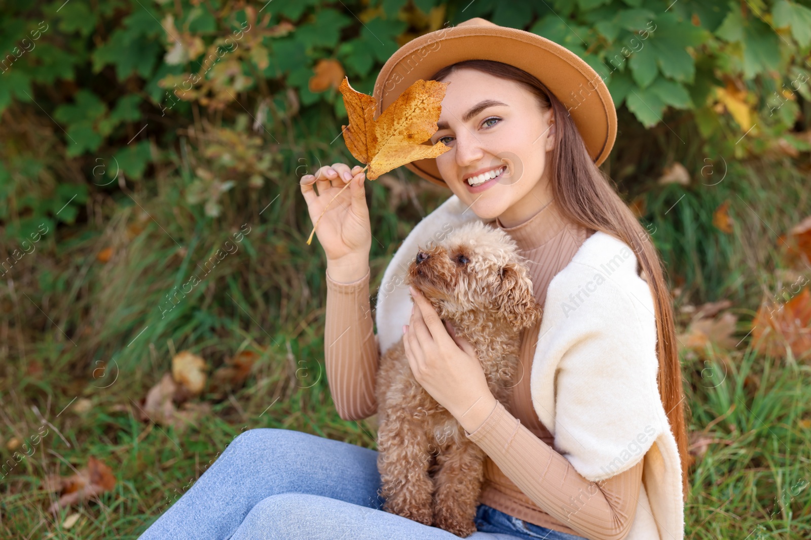 Photo of Smiling woman with cute dog and autumn leaf in park. Space for text