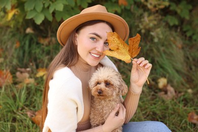 Smiling woman with cute dog and autumn leaf in park