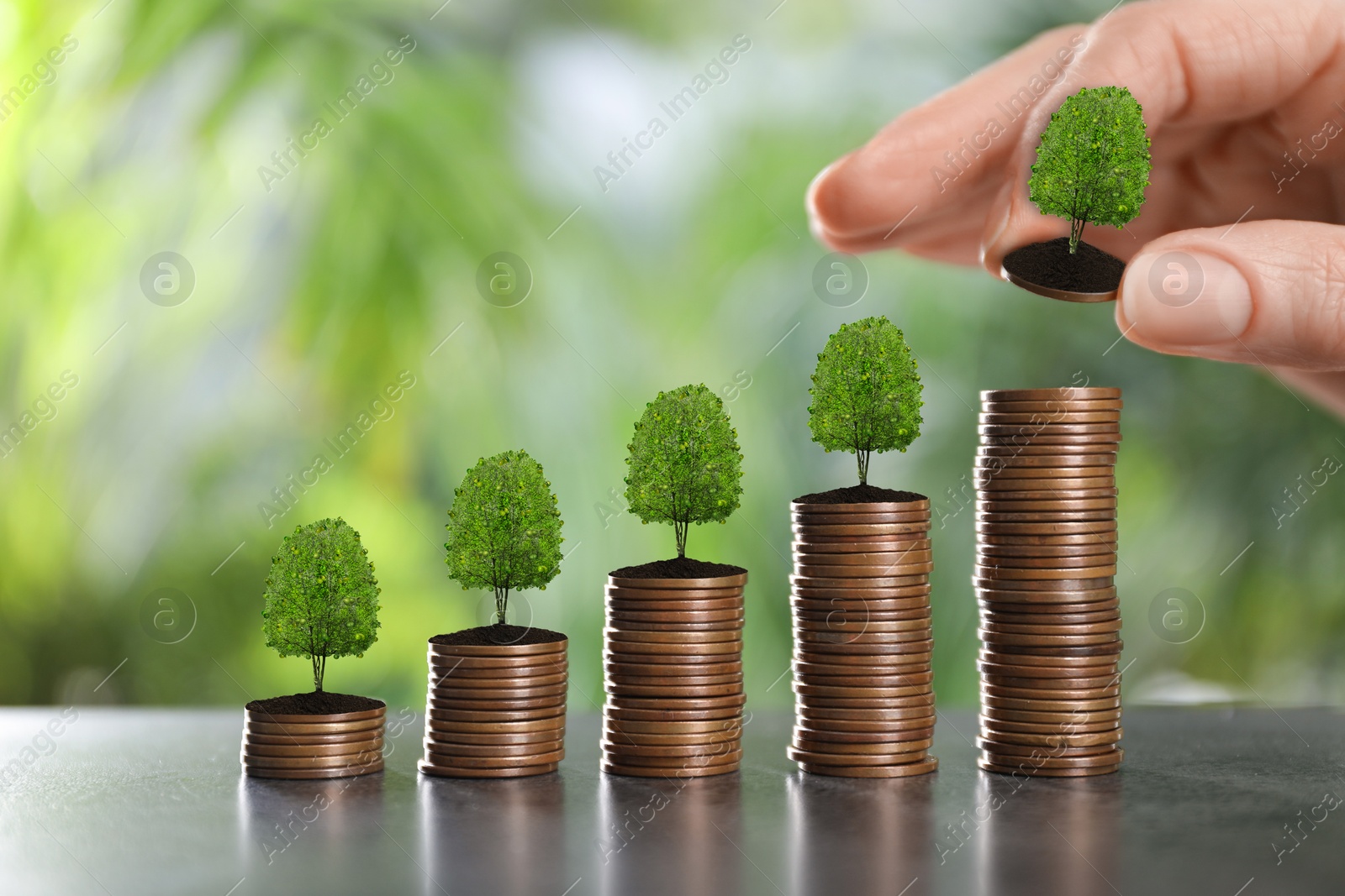 Image of Woman stacking coin with tiny green tree on table, closeup