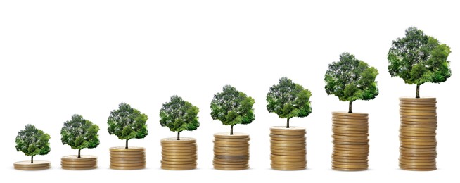 Image of Stacked coins with tiny green trees on white background, banner design