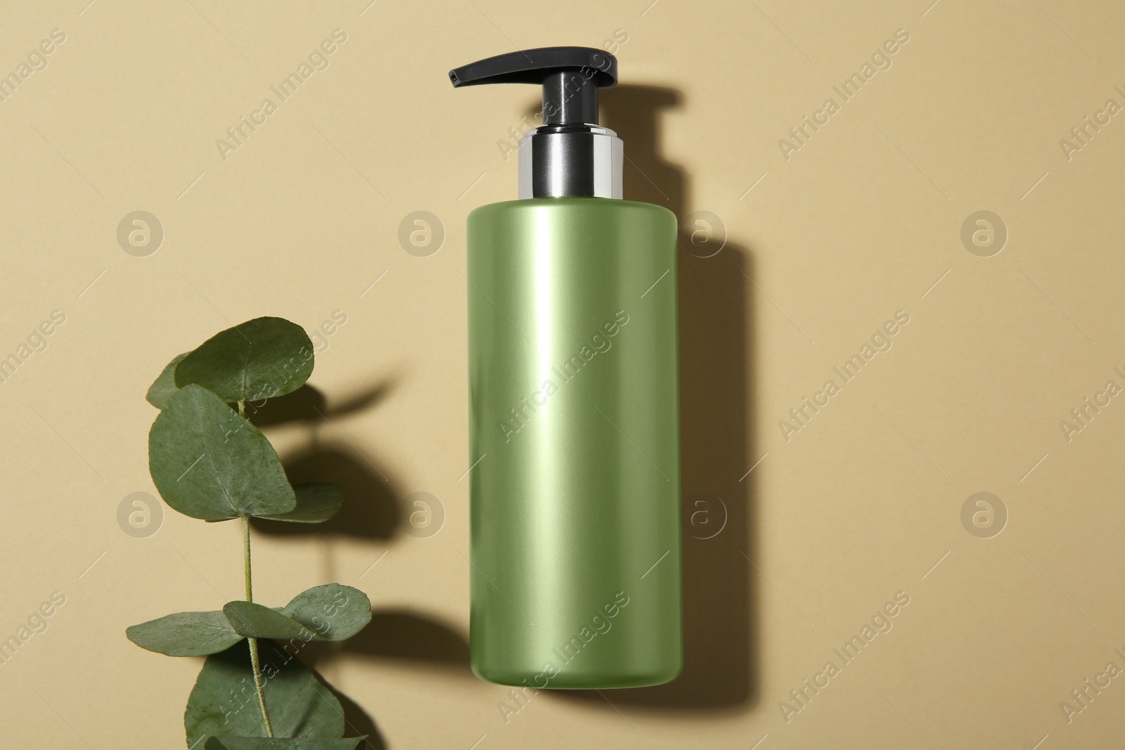 Photo of Bottle of shampoo and eucalyptus branch on beige background, flat lay