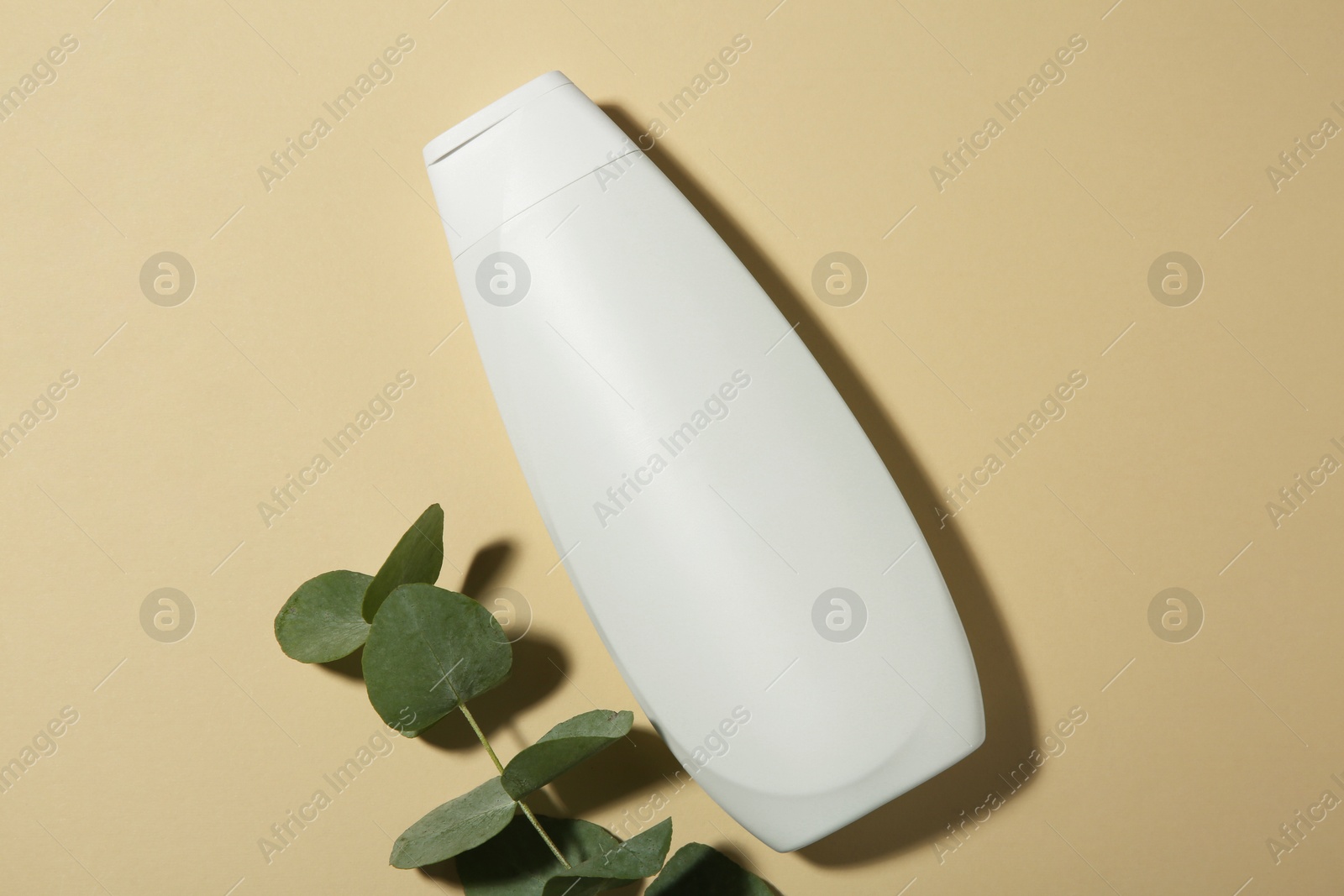 Photo of Bottle of shampoo and eucalyptus branch on beige background, flat lay