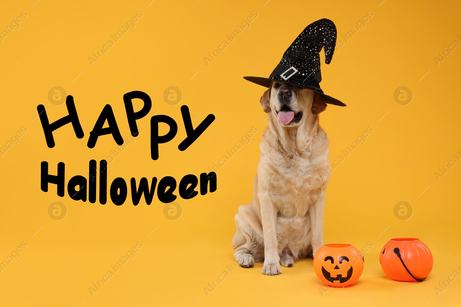 Image of Happy Halloween card with dog in witch hat on orange background