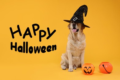 Happy Halloween card with dog in witch hat on orange background