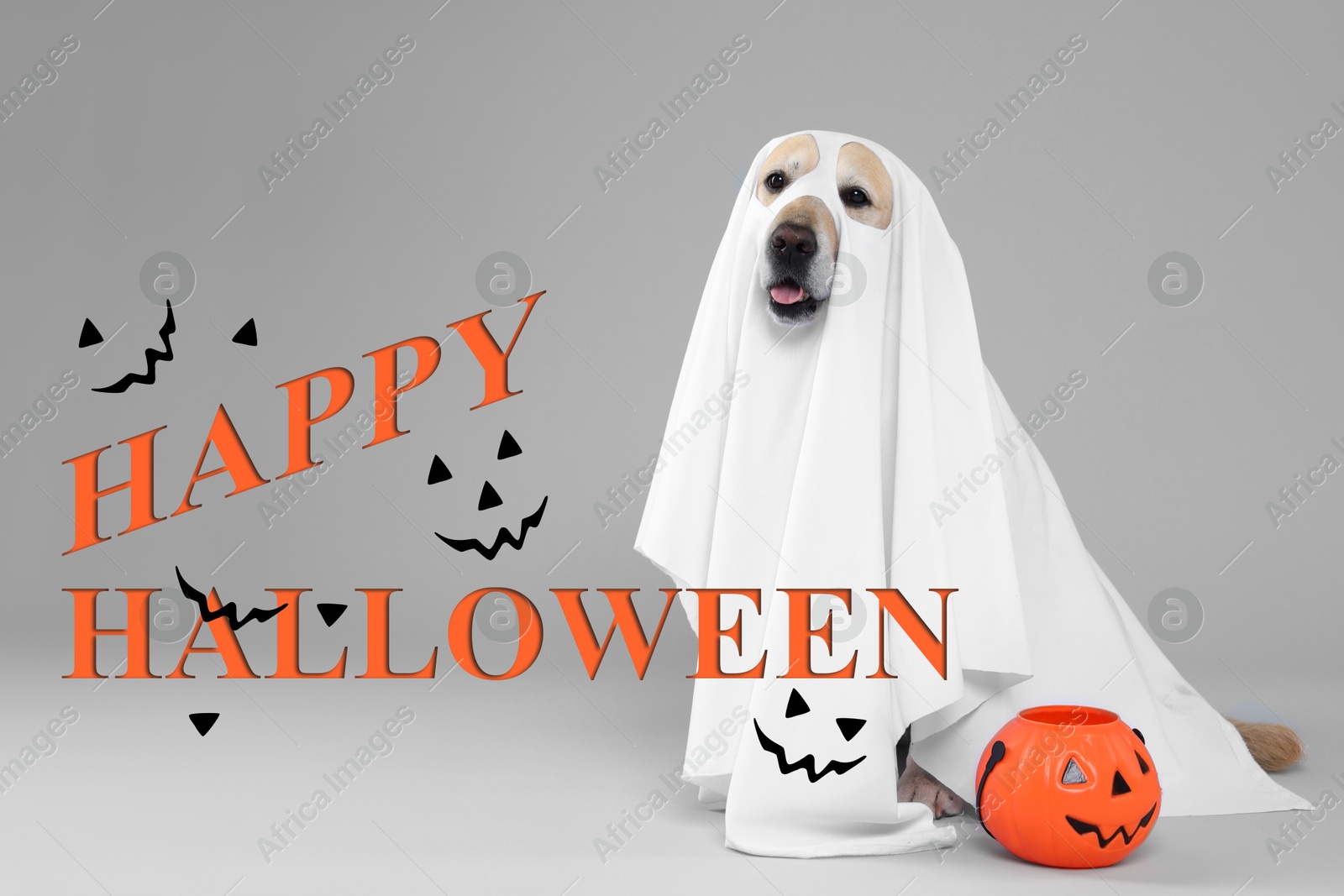 Image of Happy Halloween card with dog in ghost costume on grey background