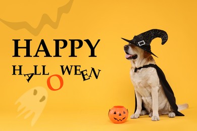 Happy Halloween card with dog in witch hat on orange background