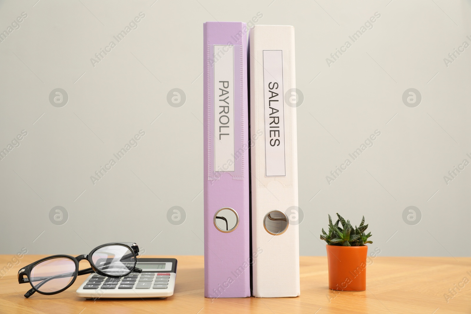 Photo of Folders with words Payroll and Salaries, houseplant, glasses and calculator on wooden table