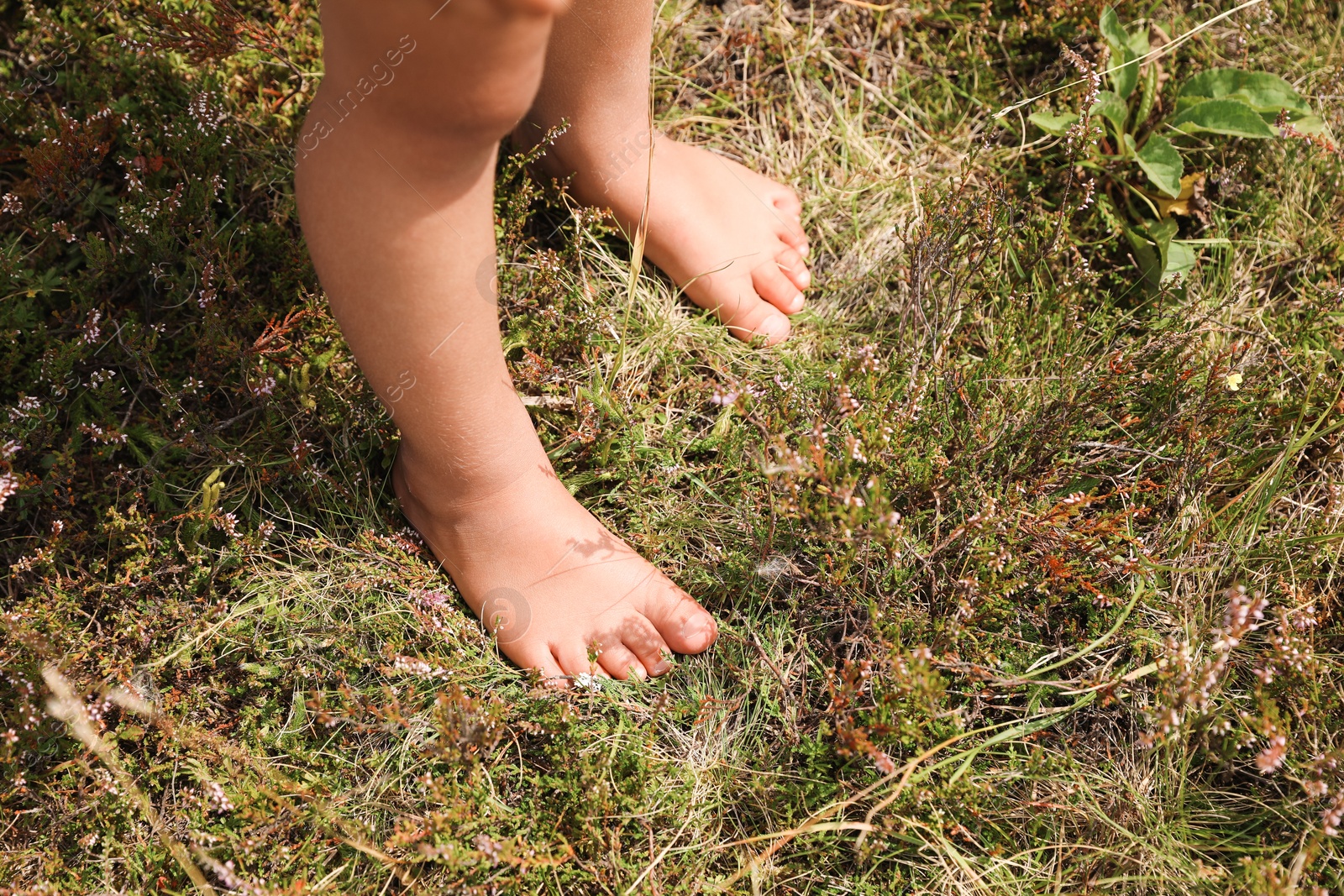 Photo of Little girl standing barefoot outdoors on sunny day, closeup. Child enjoying beautiful nature