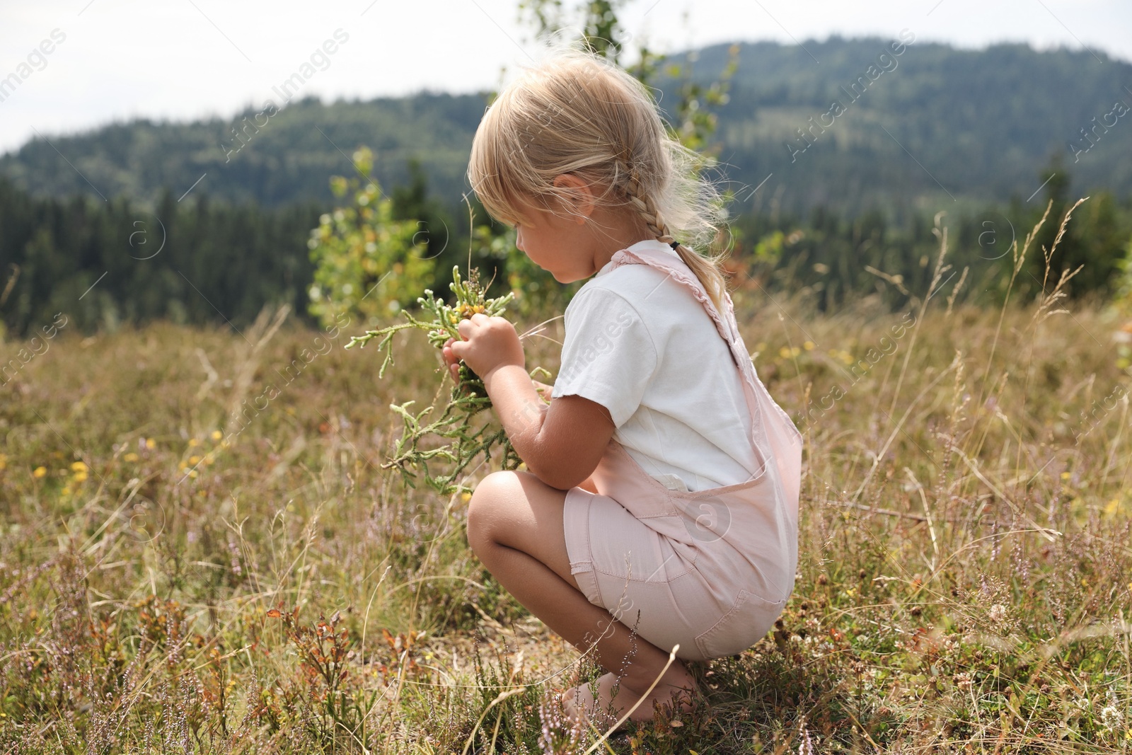 Photo of Cute little girl picking flowers at meadow. Child enjoying beautiful nature