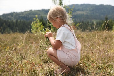 Cute little girl picking flowers at meadow. Child enjoying beautiful nature