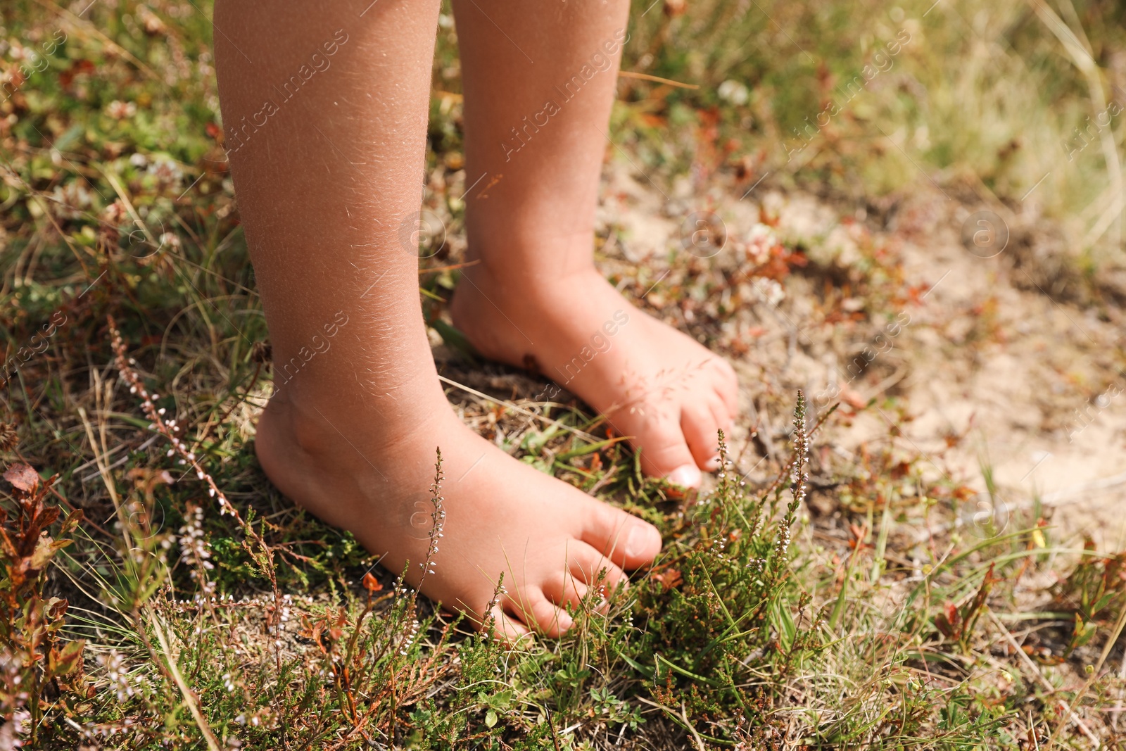 Photo of Little girl standing barefoot outdoors on sunny day, closeup. Child enjoying beautiful nature