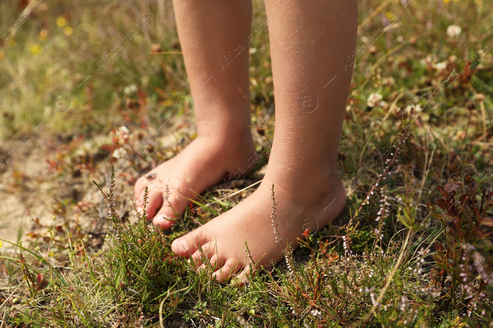 Photo of Little girl standing barefoot outdoors on sunny day, closeup. Child enjoying beautiful nature