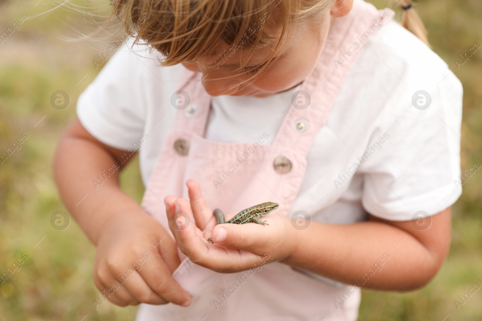 Photo of Little girl holding lizard on blurred background. Child enjoying beautiful nature