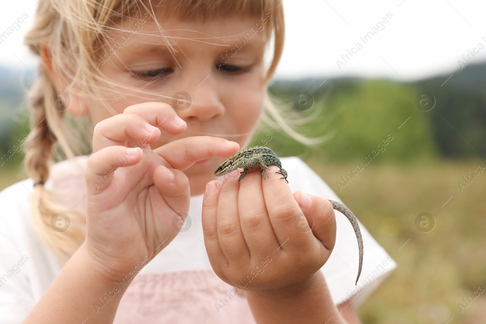 Photo of Little girl exploring lizard on blurred background. Child enjoying beautiful nature