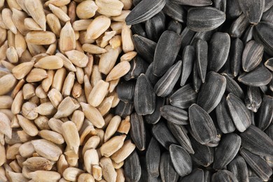 Photo of Different sunflower seeds as background, top view