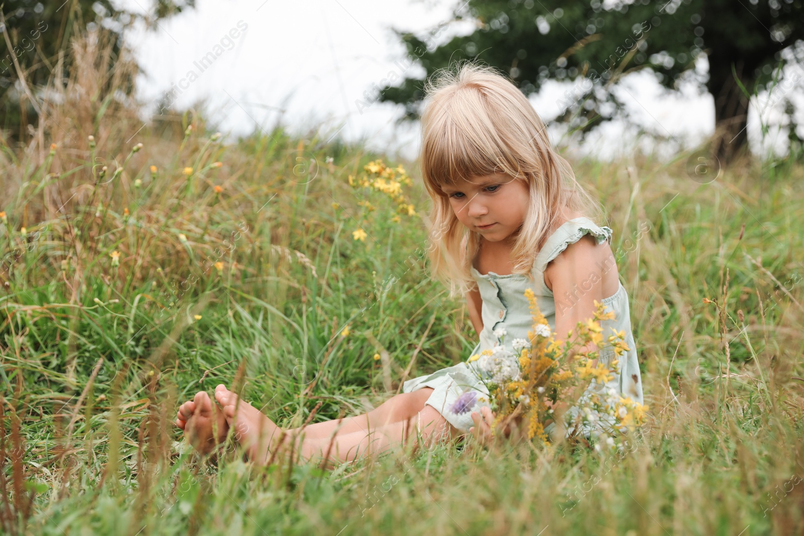 Photo of Barefoot little girl with meadow flowers on green grass. Child enjoying beautiful nature