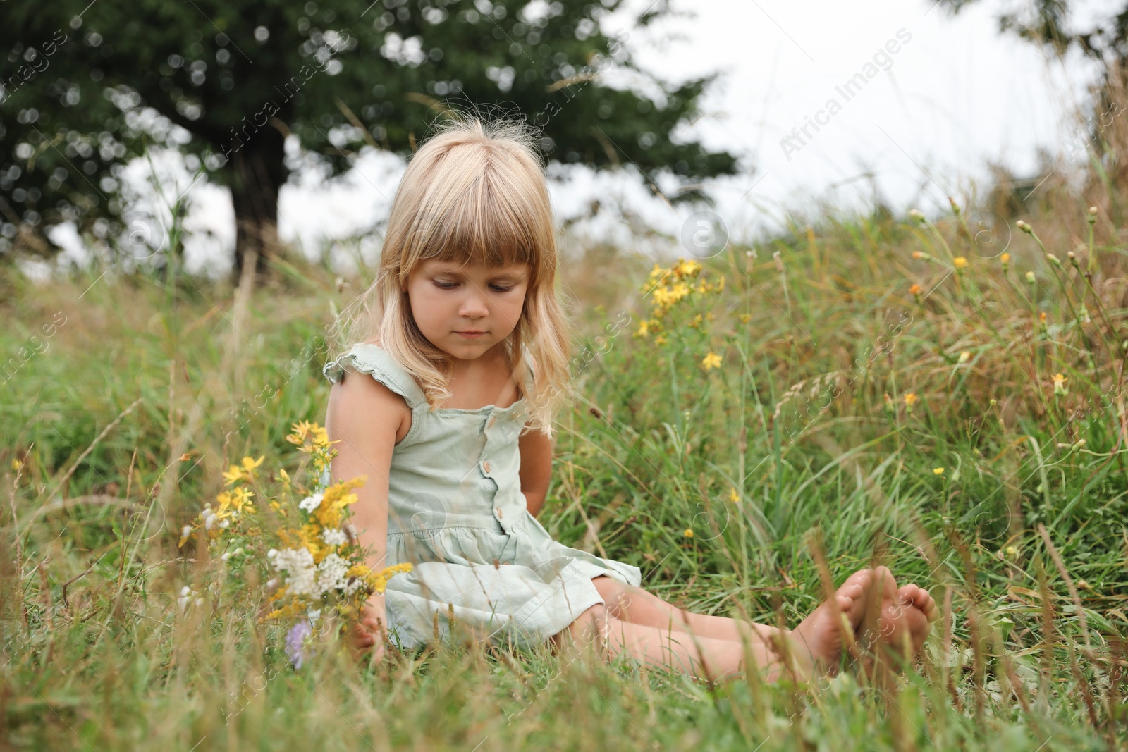 Photo of Barefoot little girl with meadow flowers on green grass. Child enjoying beautiful nature