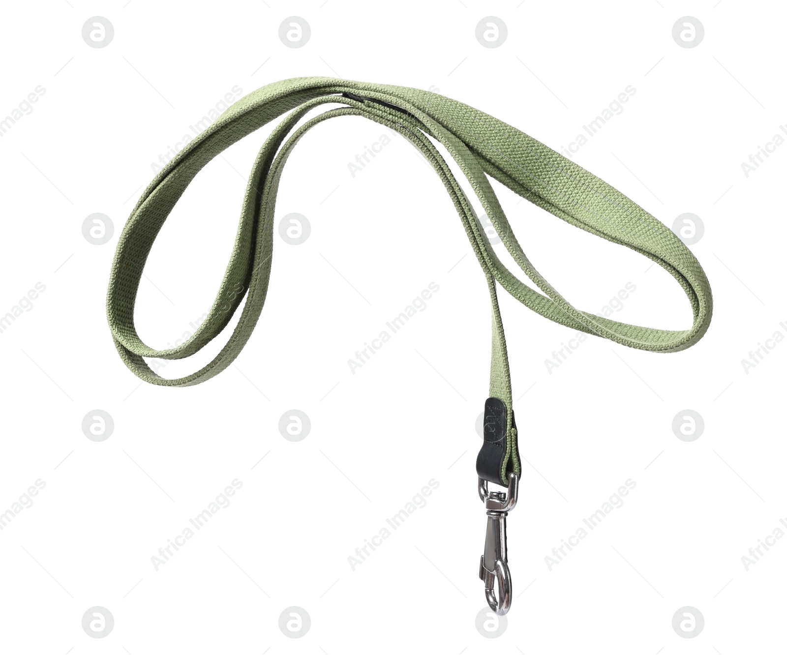 Photo of One olive dog leash isolated on white