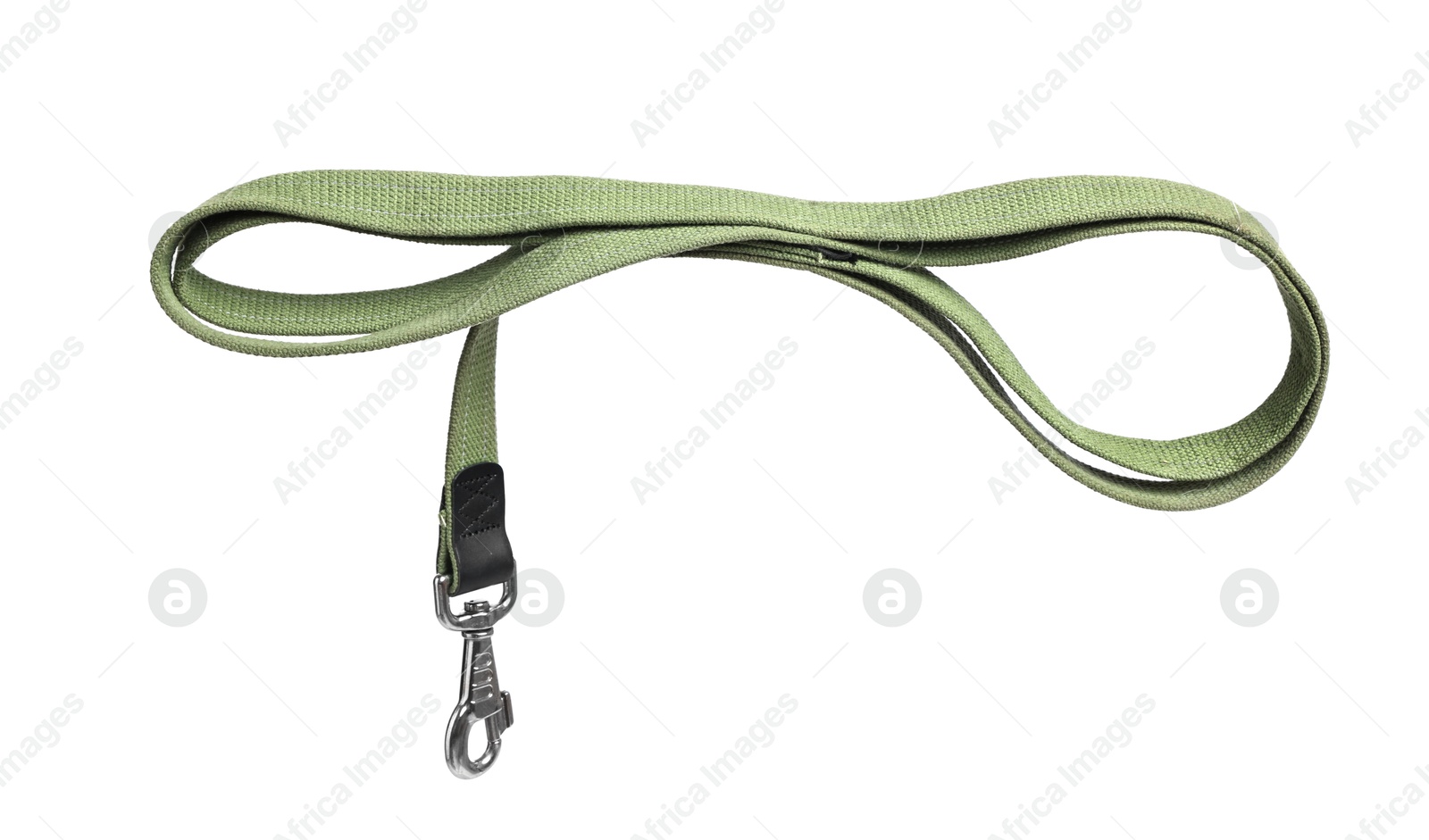 Photo of One olive dog leash isolated on white