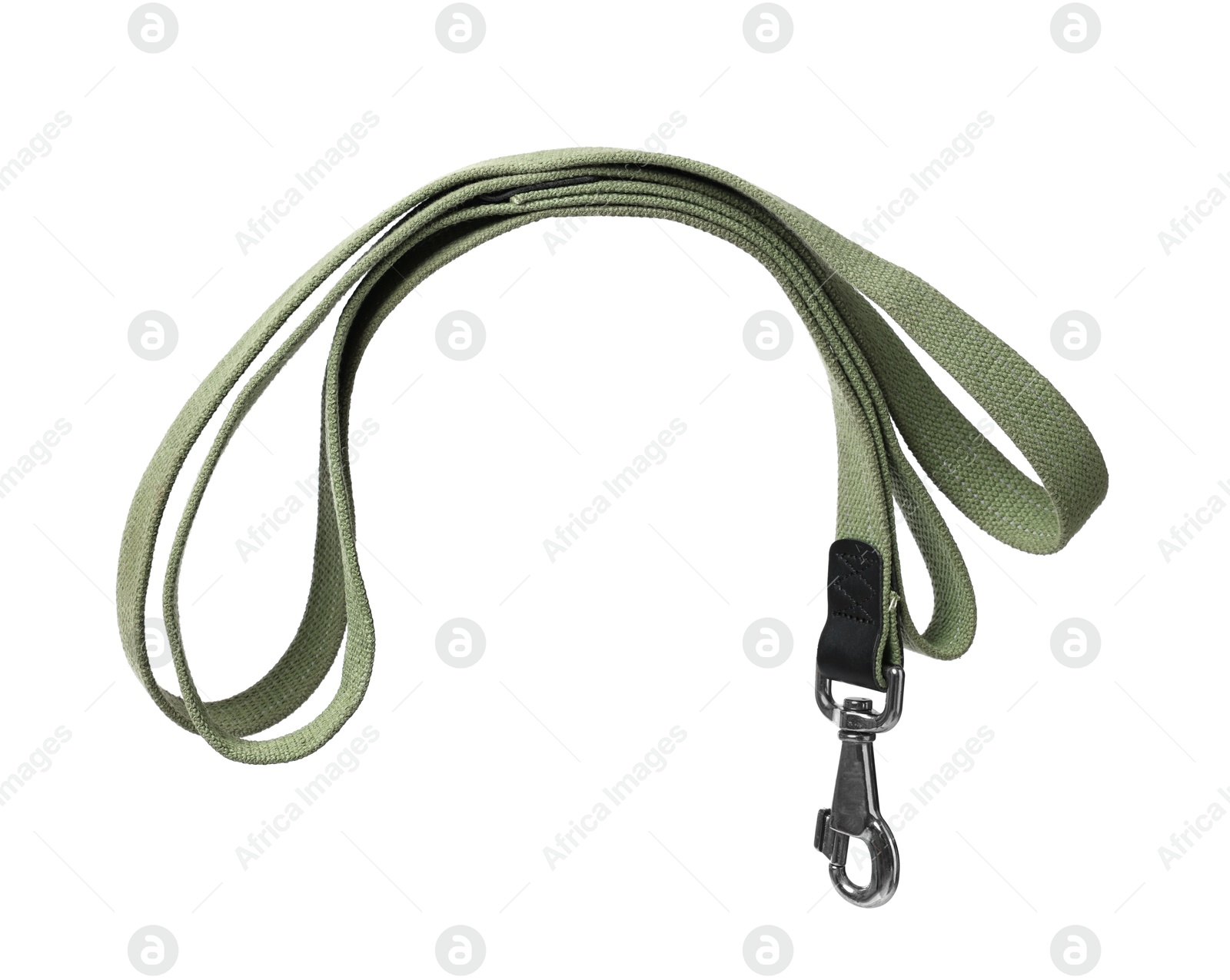 Photo of One olive dog leash isolated on white