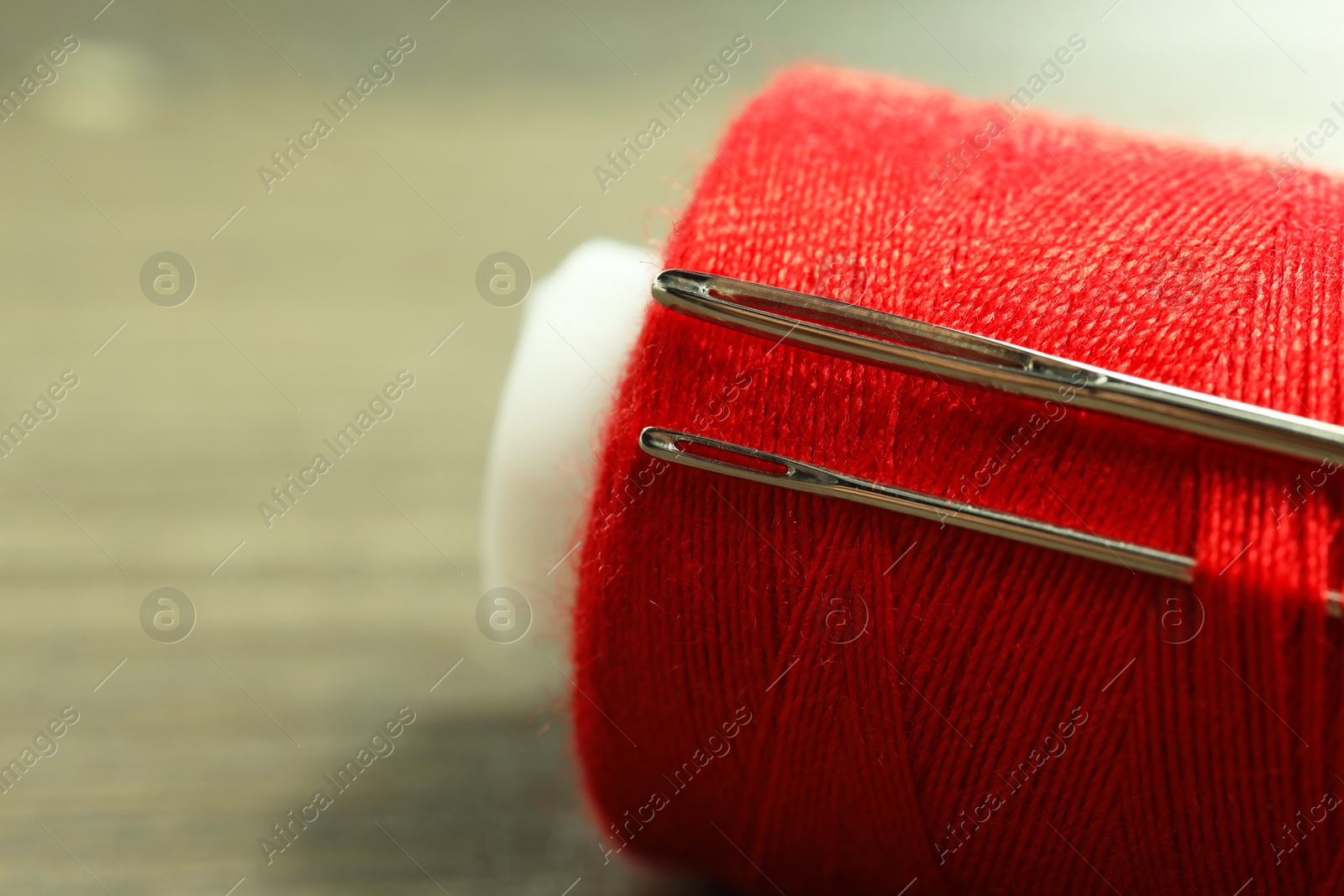 Photo of Spool of red sewing thread with needles on blurred background, closeup. Space for text