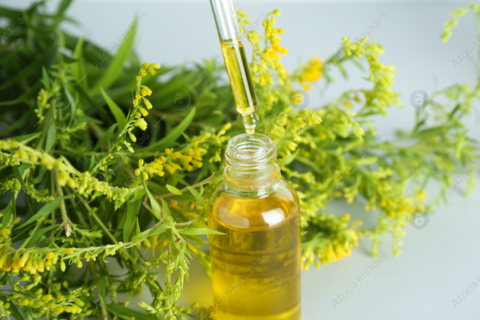 Photo of Dripping tincture from pipette into bottle and herbs on white background, closeup