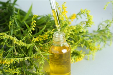 Photo of Dripping tincture from pipette into bottle and herbs on white background, closeup