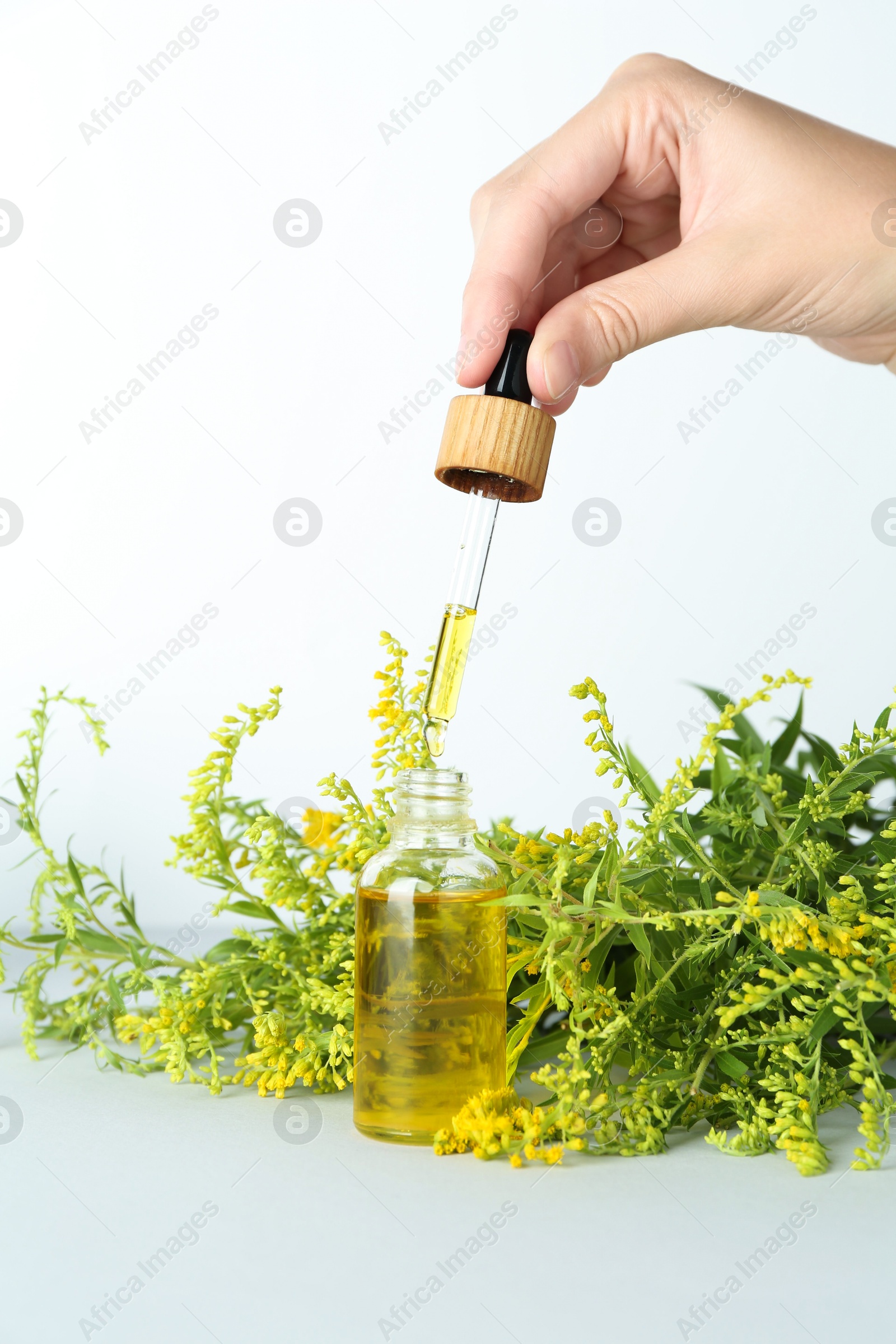 Photo of Woman dripping tincture from pipette into bottle and herbs on white background, closeup