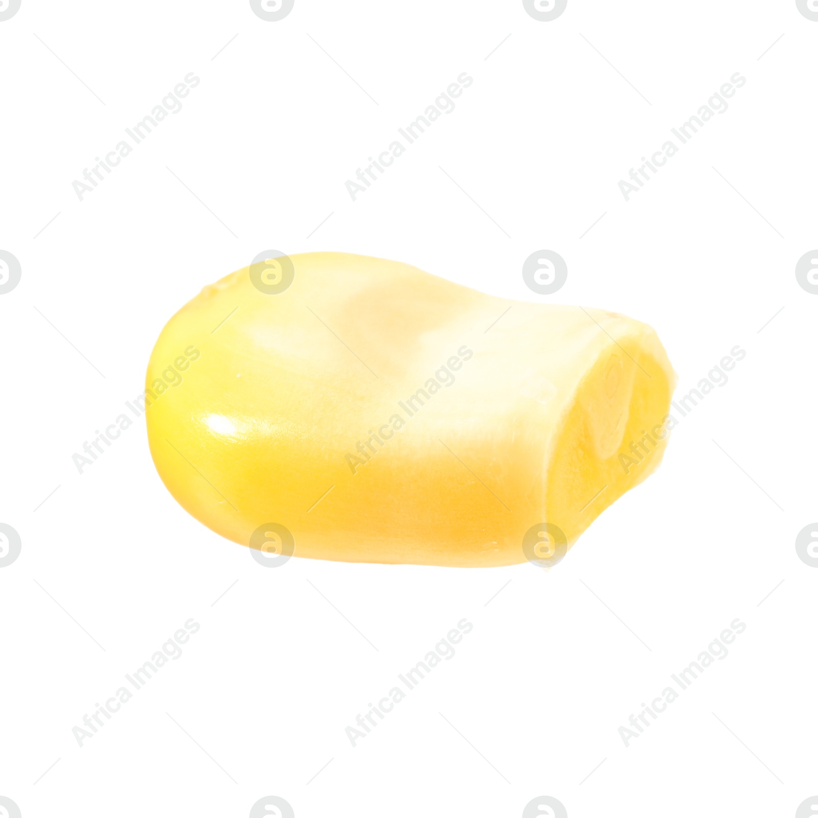 Photo of One fresh corn kernel isolated on white