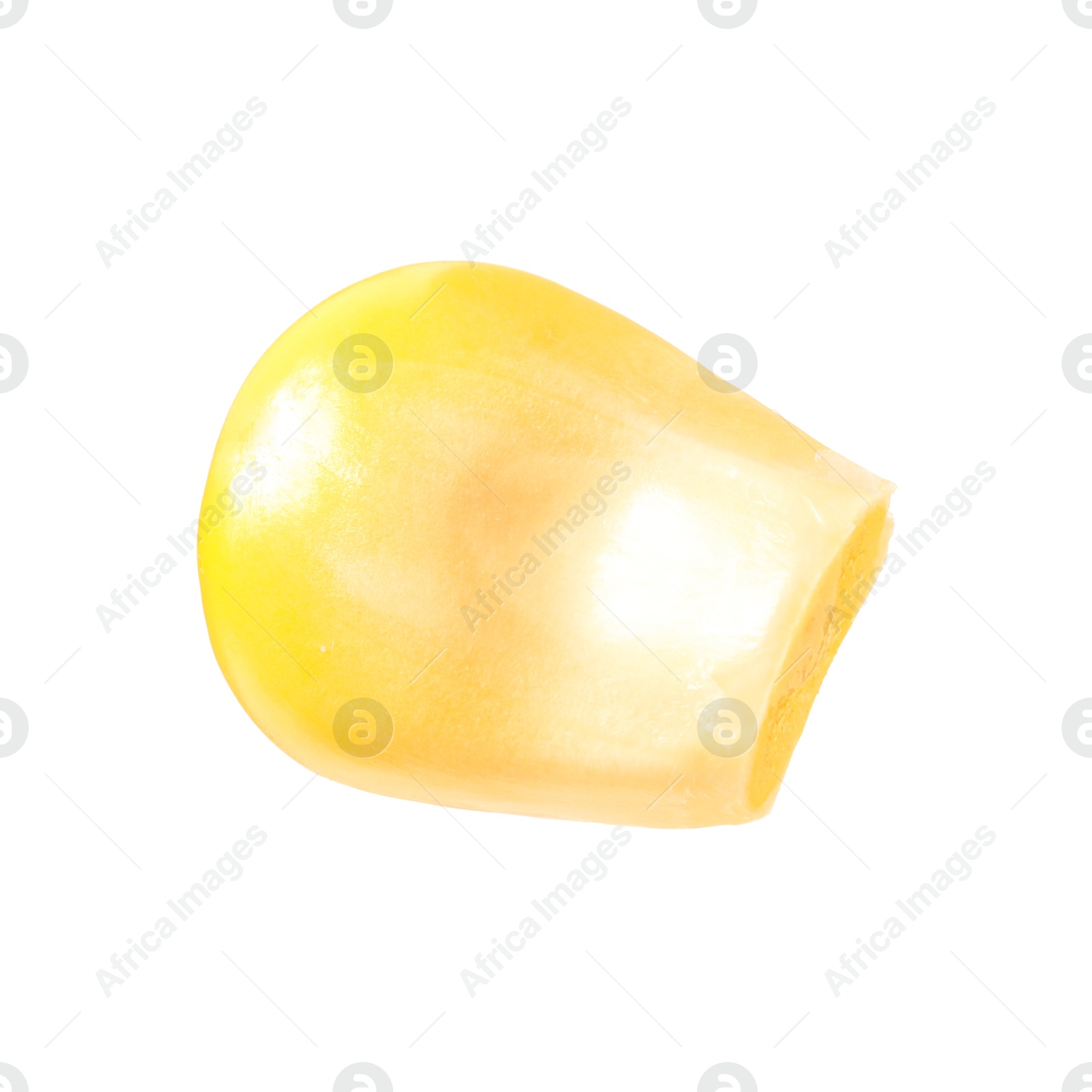 Photo of One fresh corn kernel isolated on white