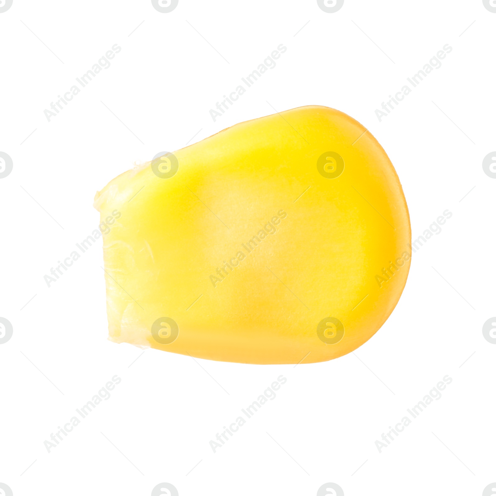 Photo of One fresh corn kernel isolated on white