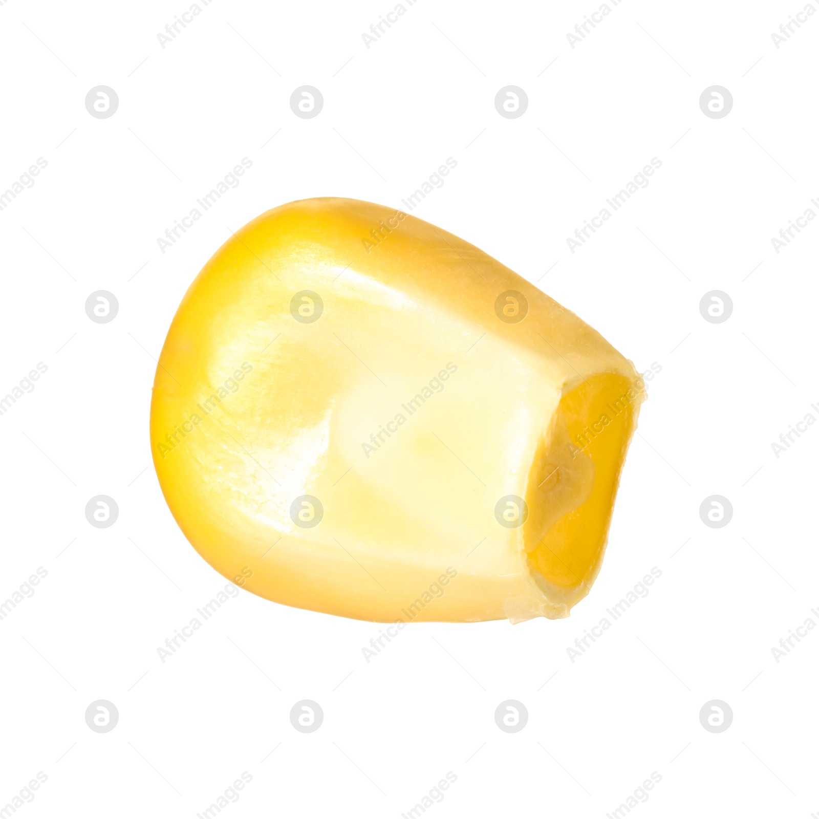 Photo of One fresh corn kernel isolated on white