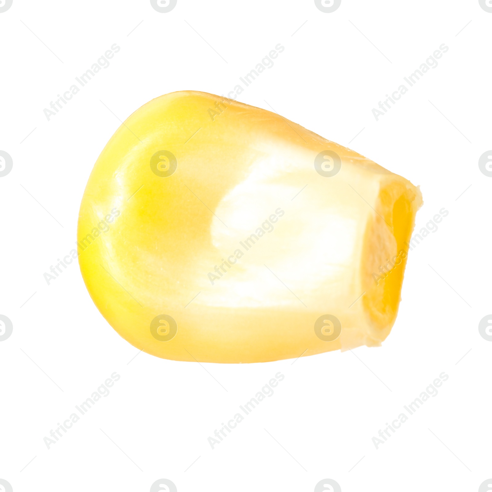 Photo of One fresh corn kernel isolated on white