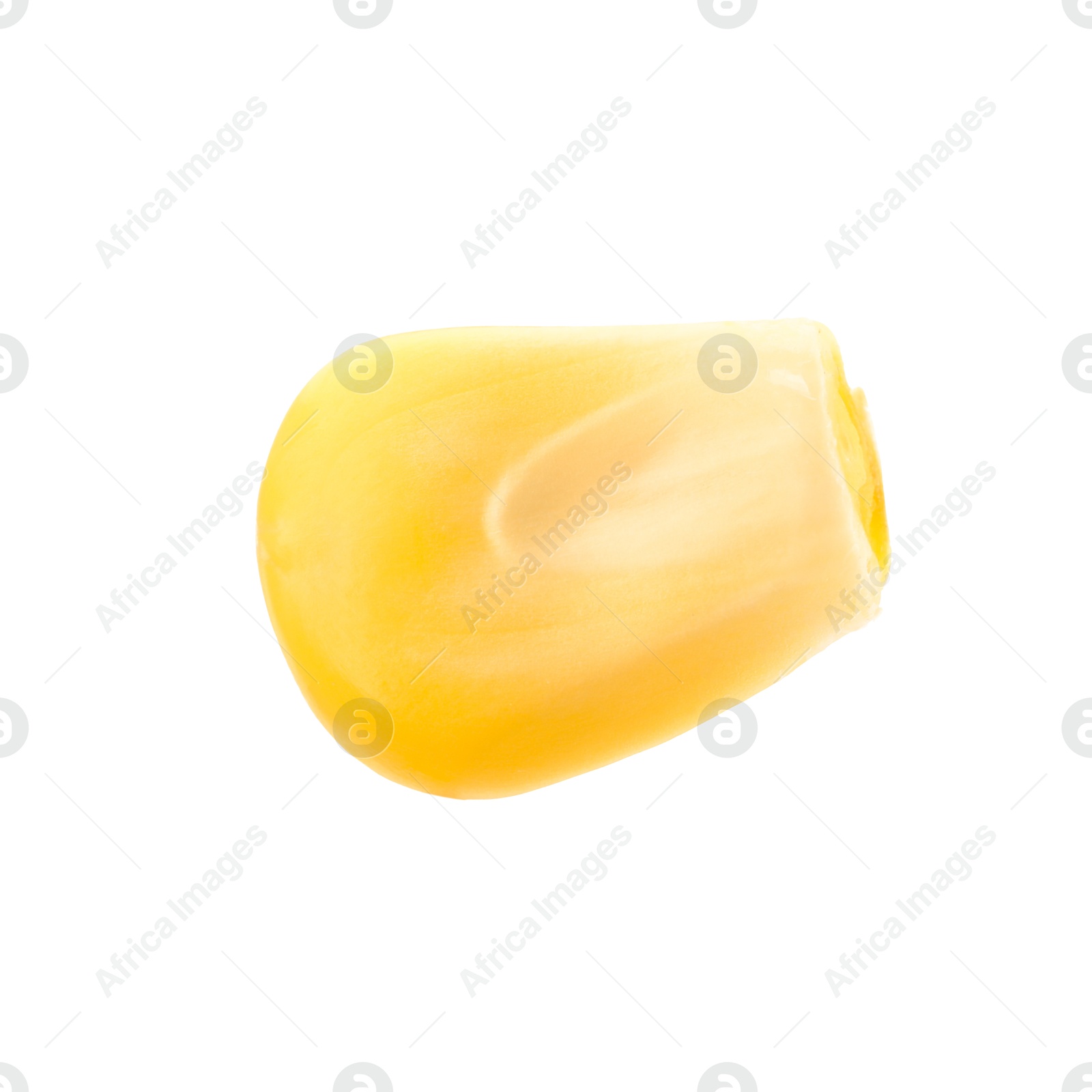 Photo of One fresh corn kernel isolated on white