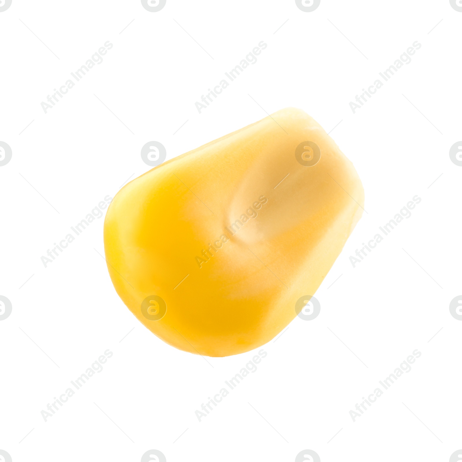 Photo of One fresh corn kernel isolated on white